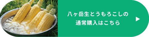 通常購入はこちらから