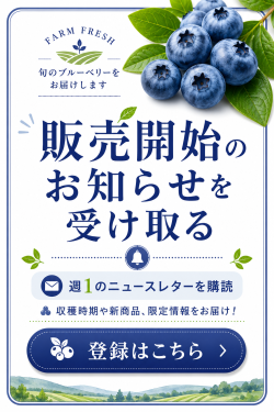 販売開始のお知らせを受け取る・週1回のニュースレターを購読