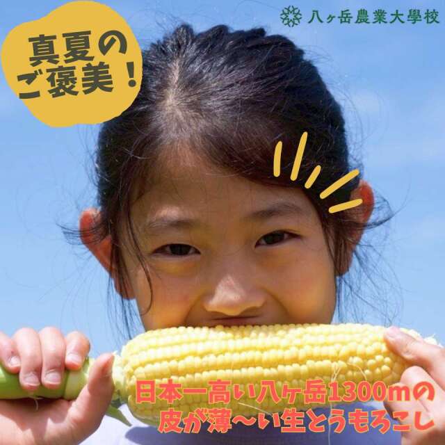 八農もろこし