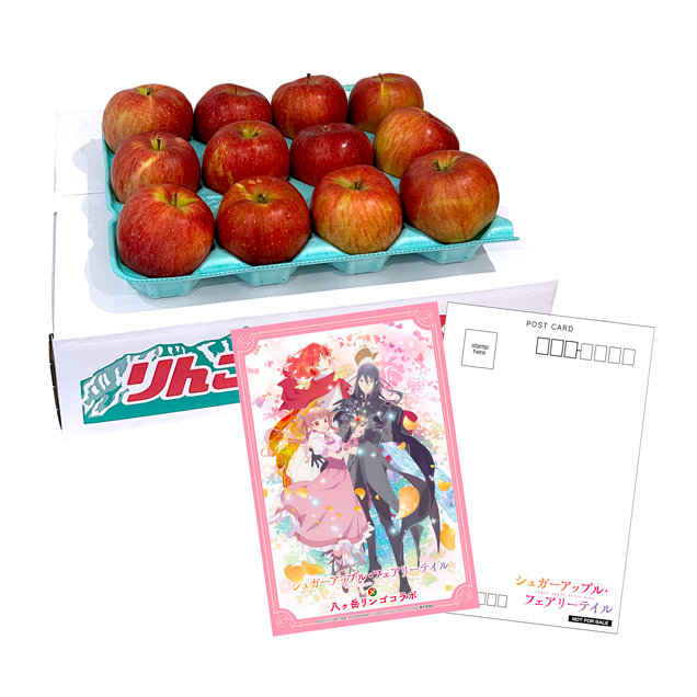 りんご詰め合わせBOX 3kg -ポストカード付き-